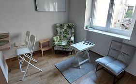 Studio apartman Vidra